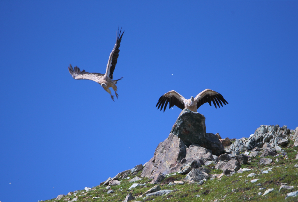 ��ɽأ�� 5.jpg