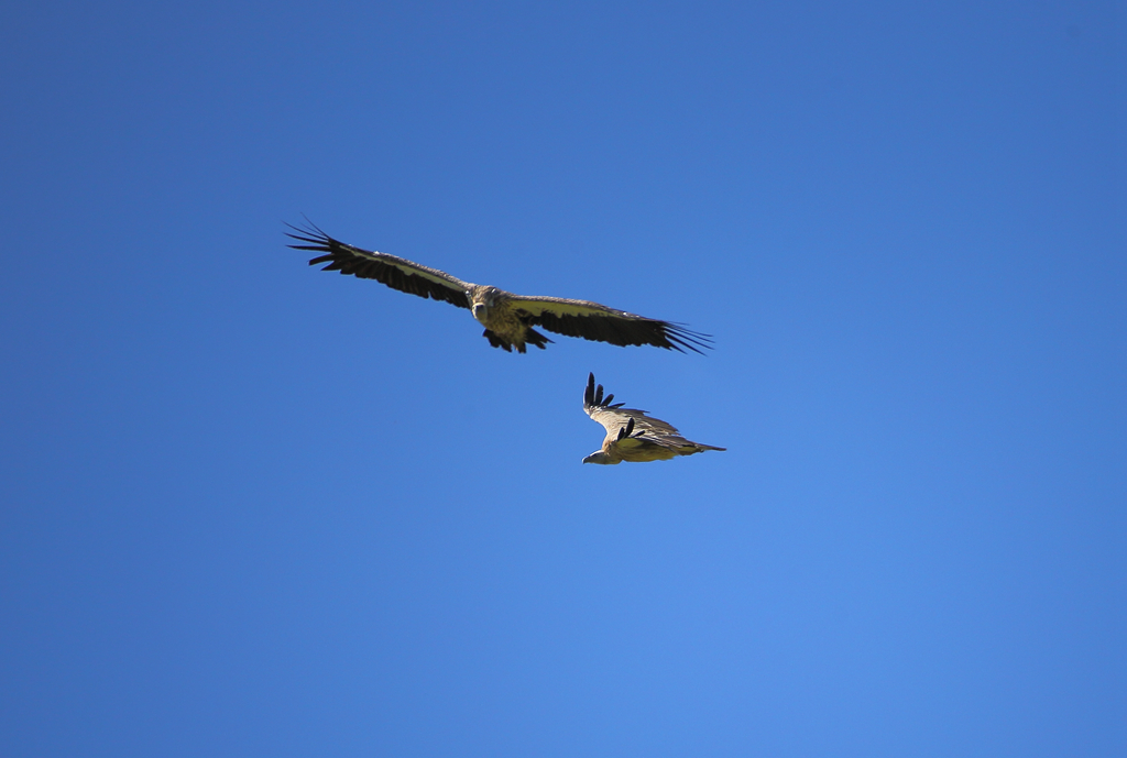 ��ɽأ�� 7.jpg