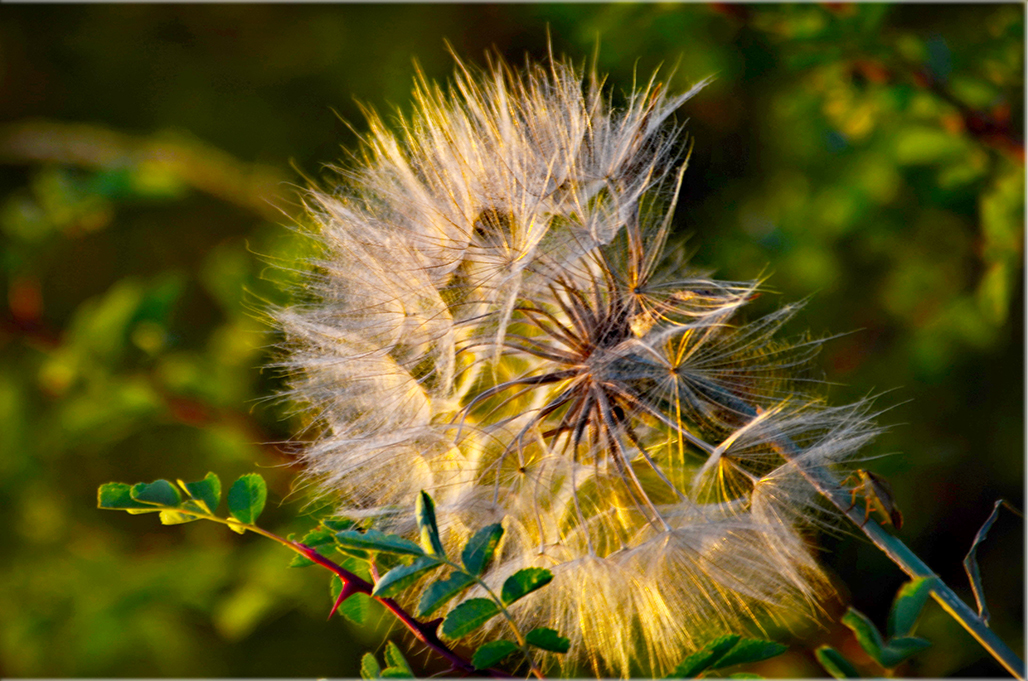 �ȳ�Ҳ����