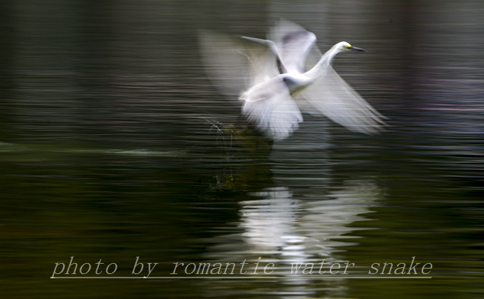 0_71842_264839209ed5772 (1).jpg