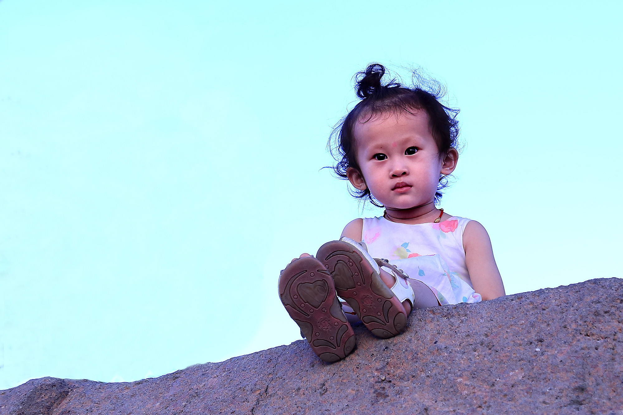 СС���� (2).jpg