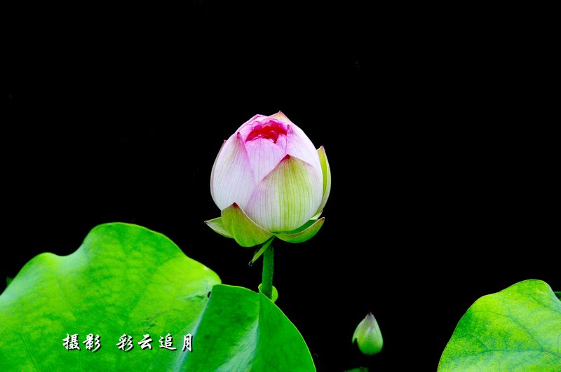 20150803��Ӱ (53).jpg