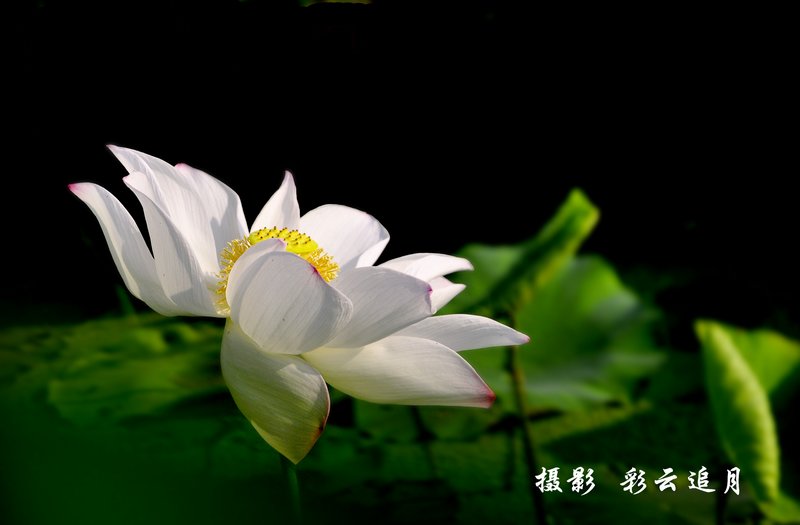 20150803��Ӱ (5).jpg