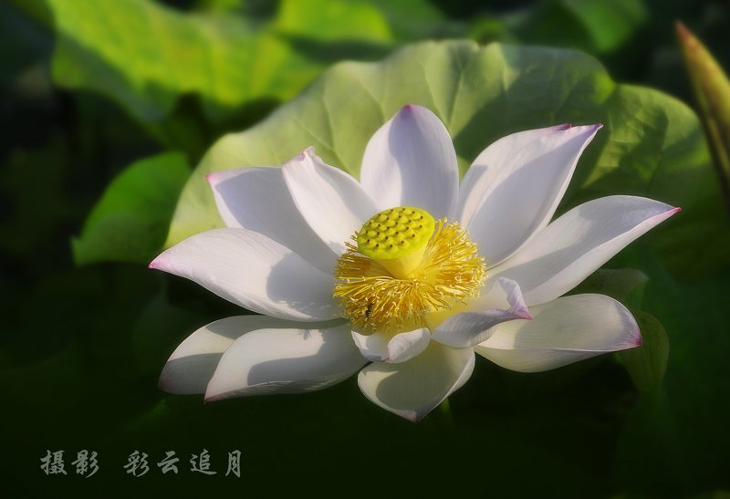 20150803��Ӱ (4).jpg