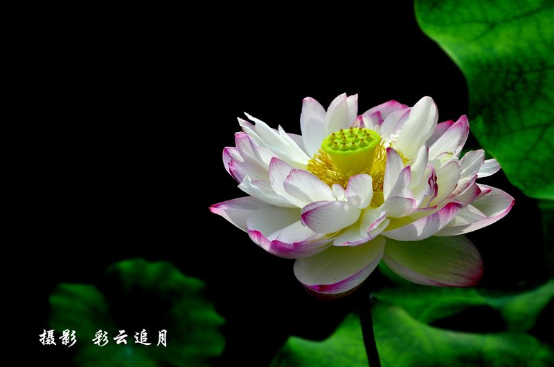 20150803��Ӱ (52).jpg