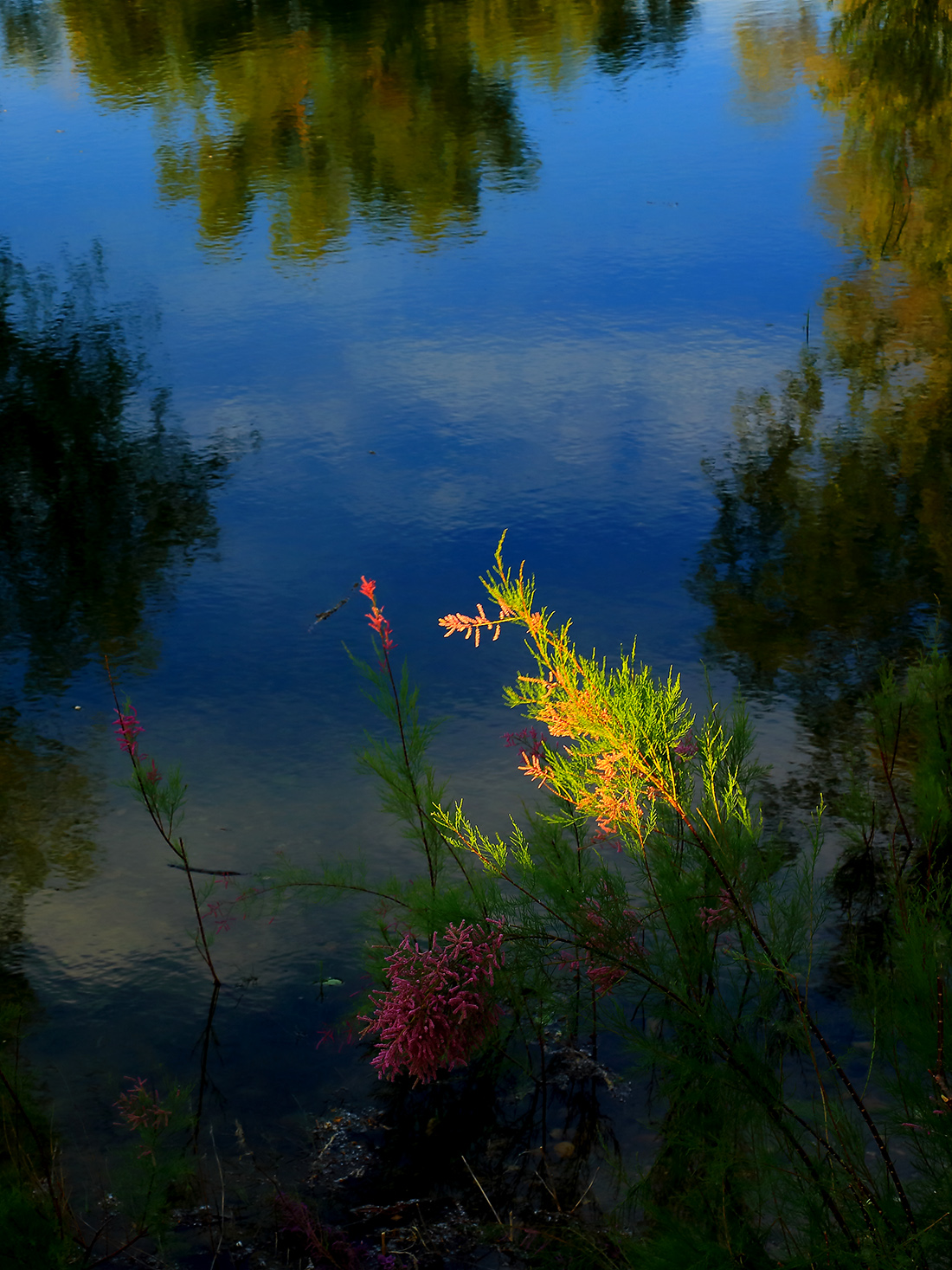 ����С�� (1).jpg