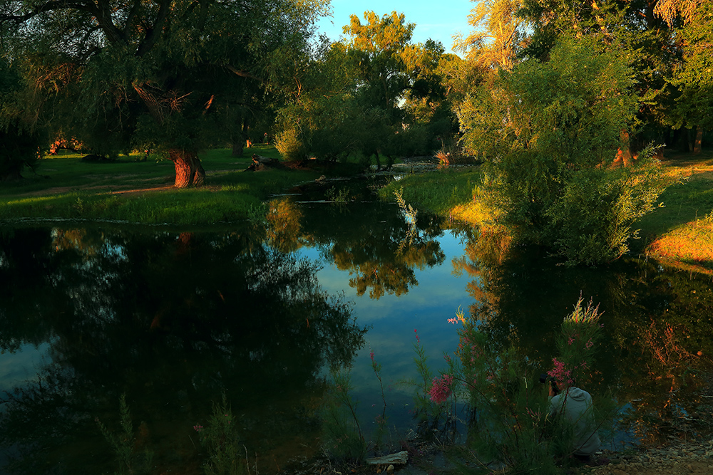 ����С�� (2).jpg