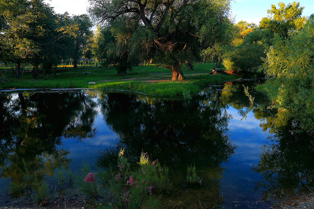 ����С�� (3).jpg