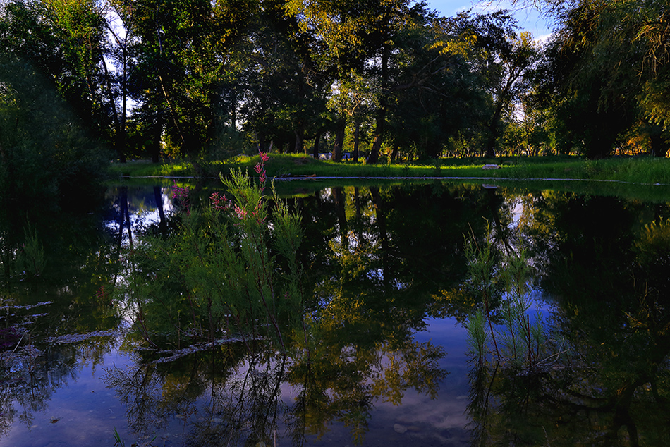 ����С�� (5).jpg