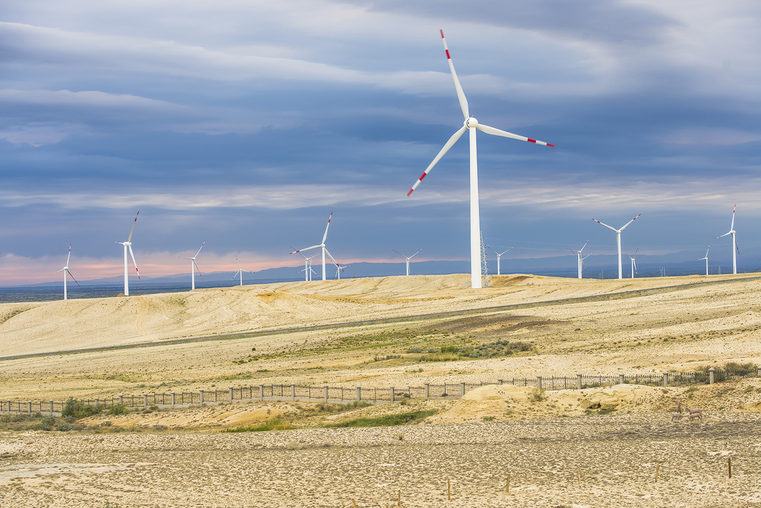 ������ŵ���ò��Խ