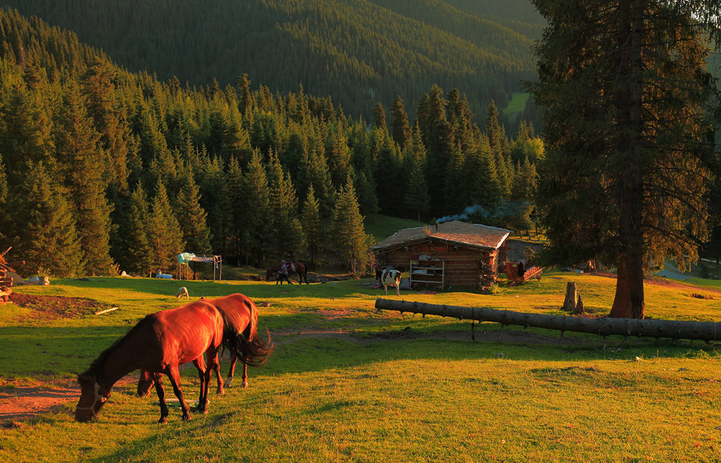 CW2Z7575 ����.jpg