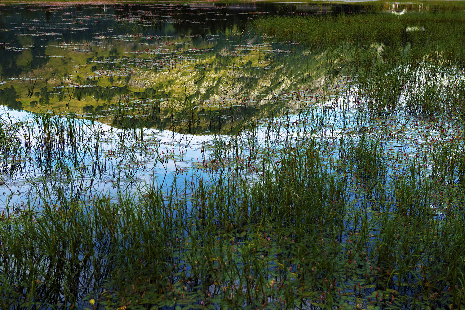 ��Ƽ������