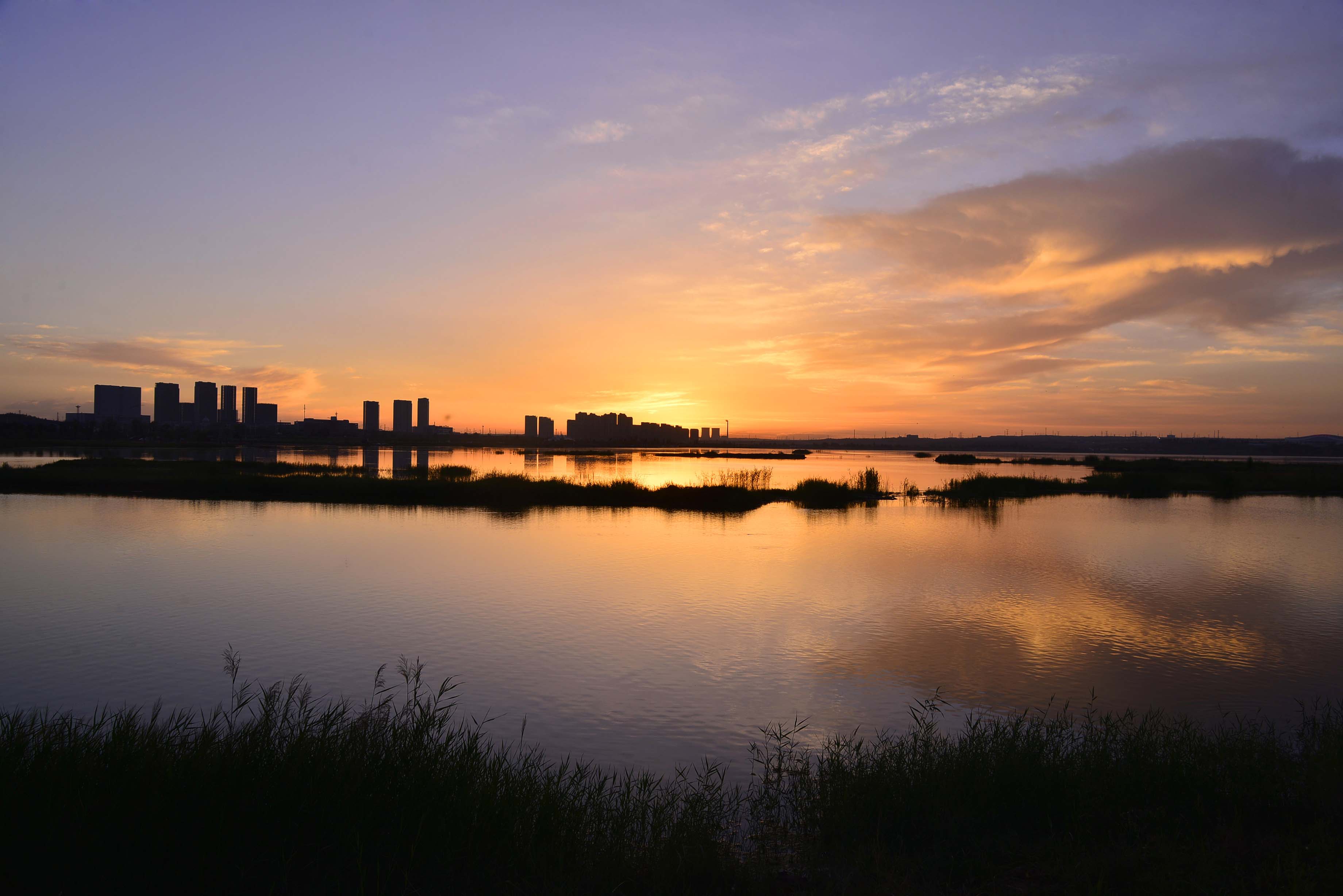 ��ʪ�س�ϼ�����졷-Ҷ�� ��.jpg