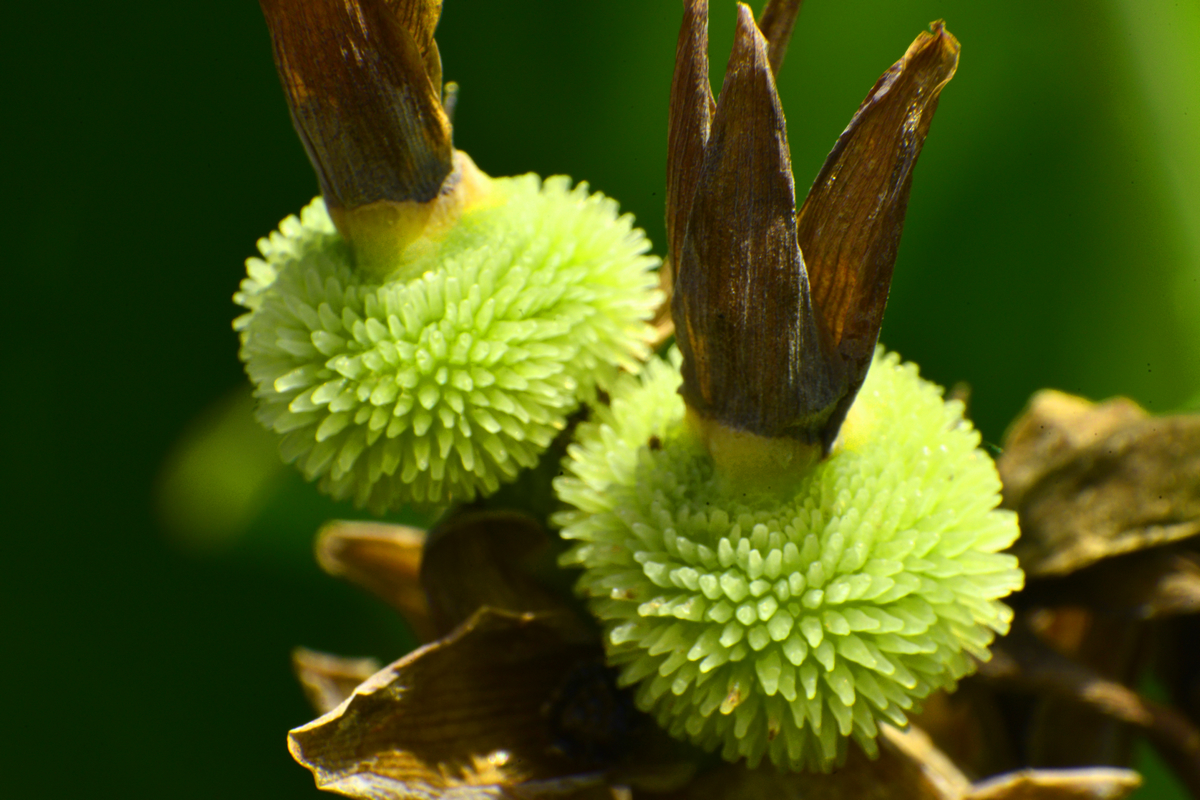 nEO_IMG__DSC2872 - ����.jpg