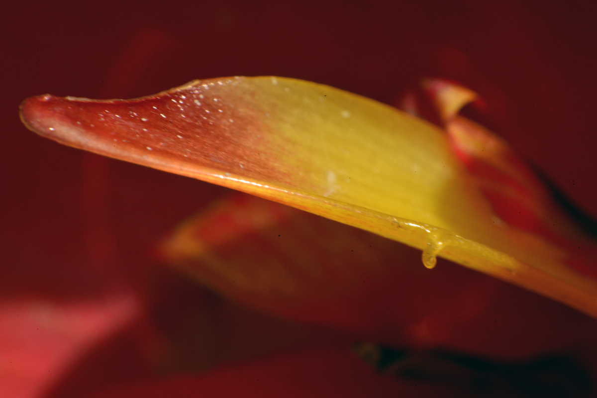 nEO_IMG__DSC2874 - ����.jpg