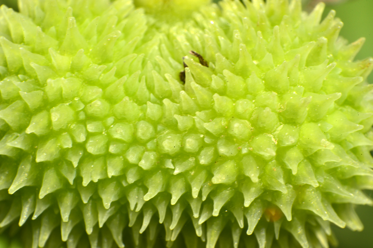 nEO_IMG__DSC2879 - ����.jpg