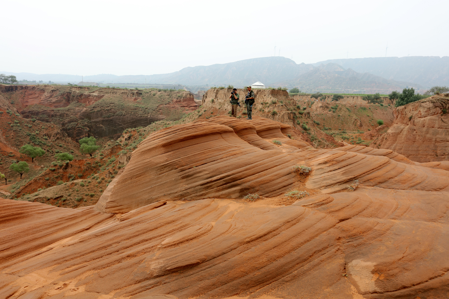 �Ÿ������� (2).jpg