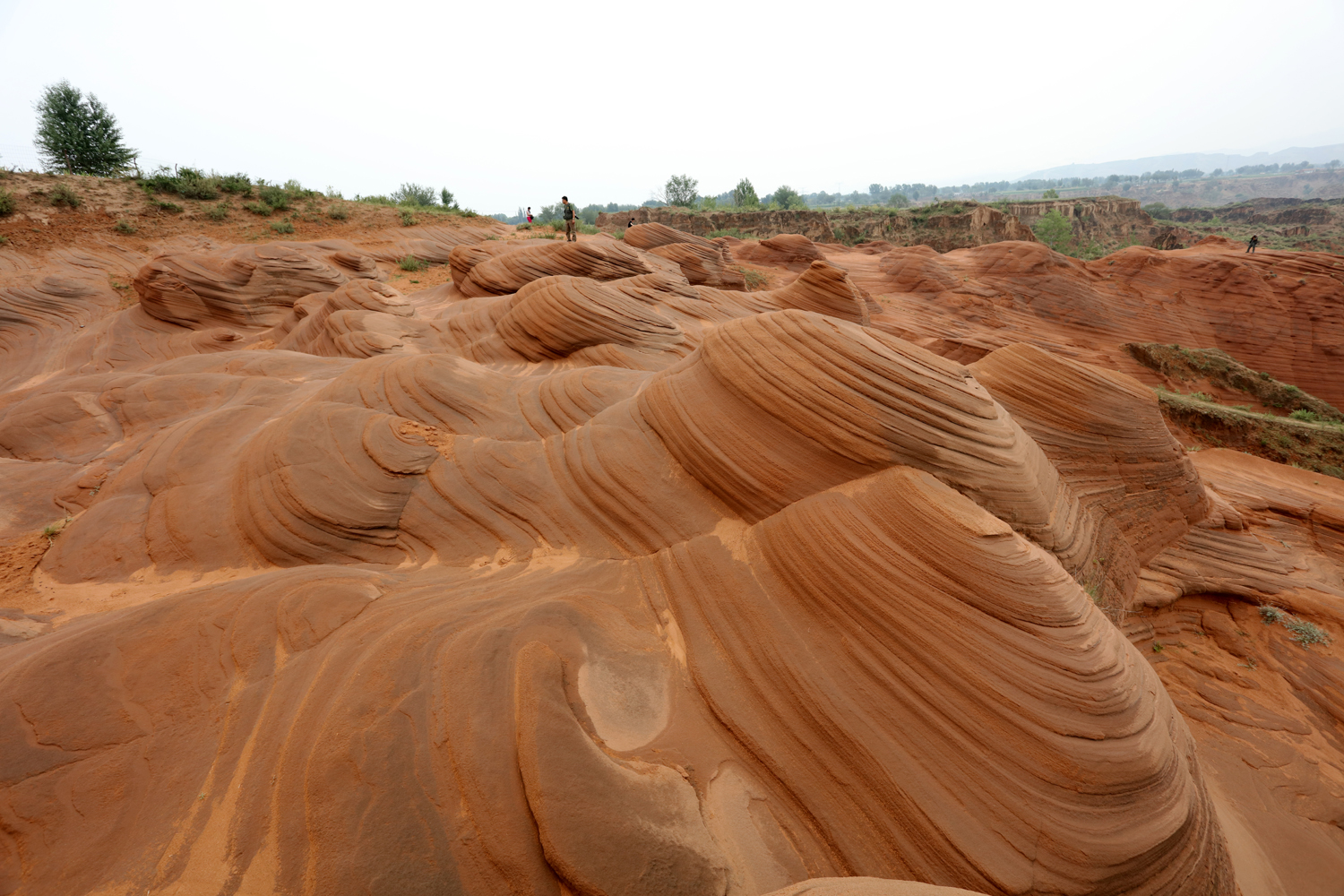 �Ÿ������� (3).jpg