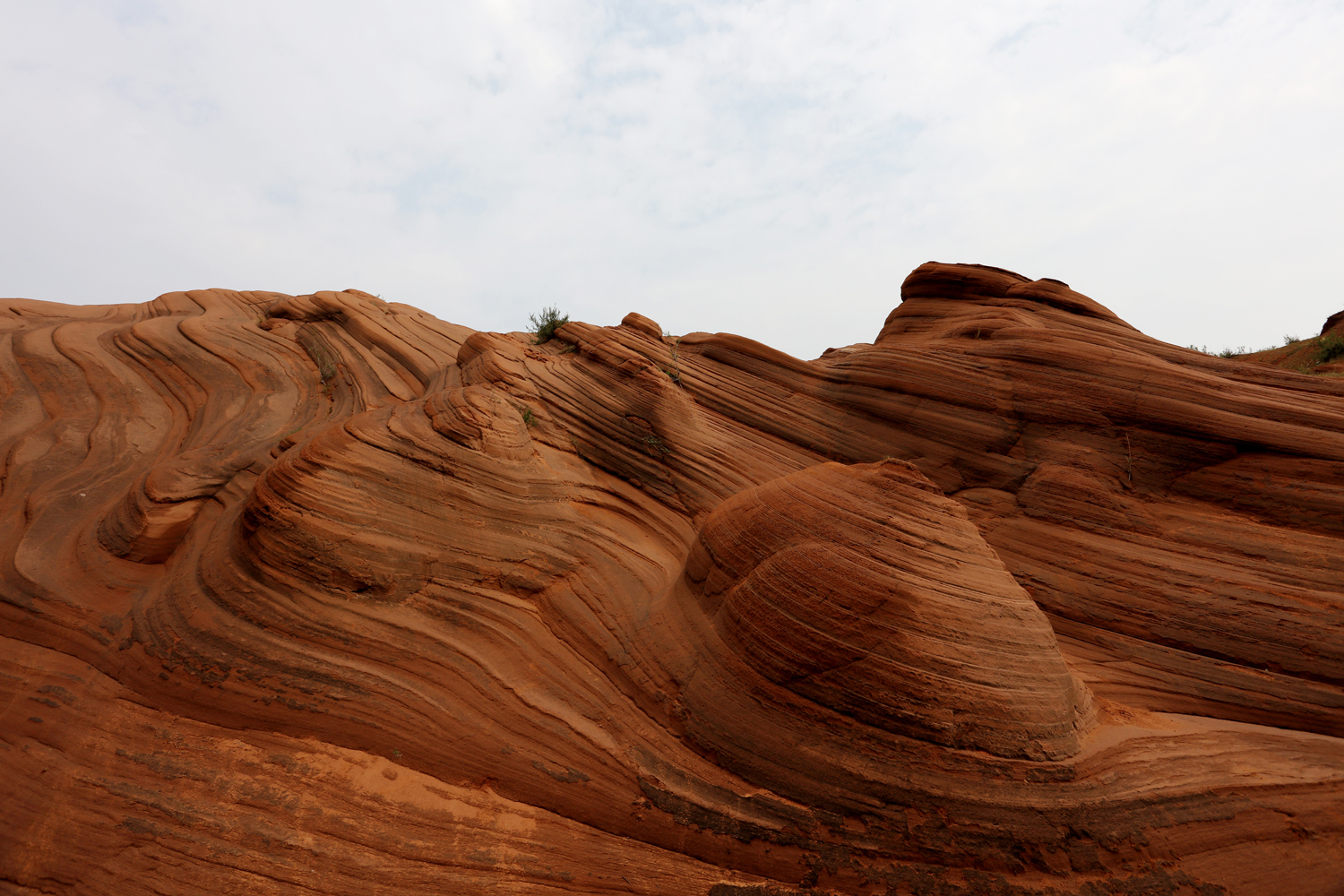 �Ÿ������� (7).jpg