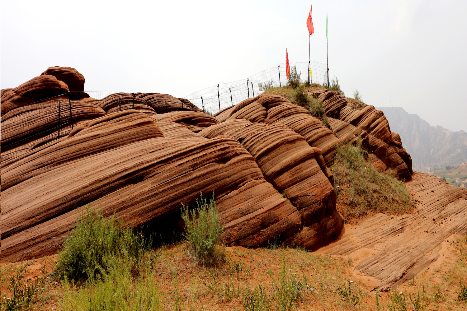 �Ÿ������� (9).JPG