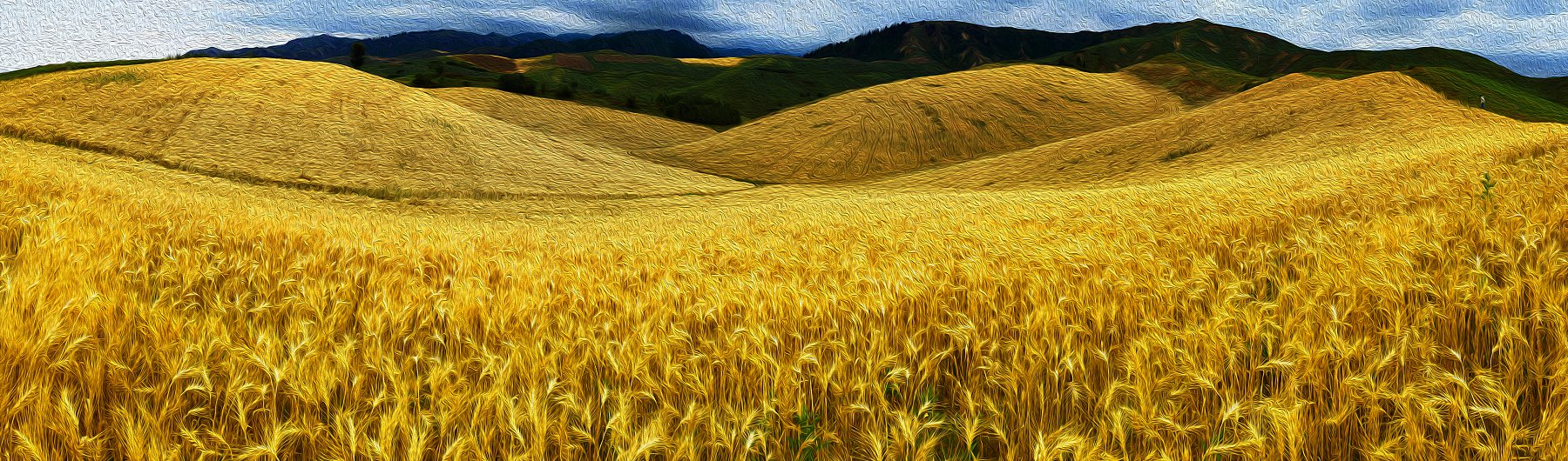 AQD13971 Panorama - ����.jpg