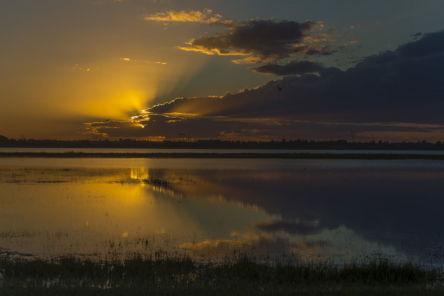 ���Ʋ������