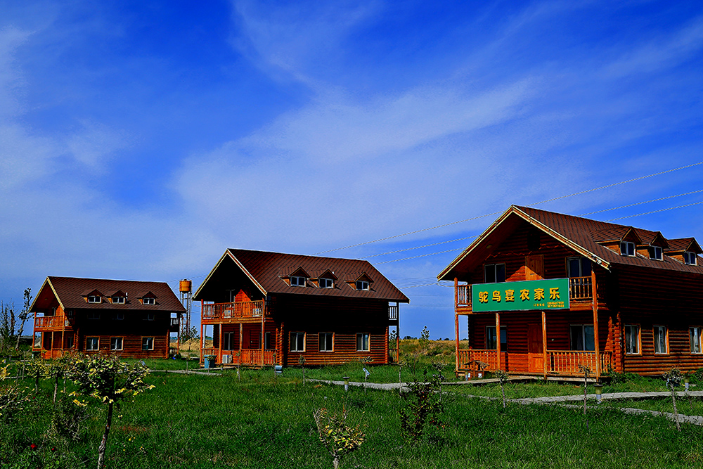 ���ʪ��-���ž��� (12).jpg