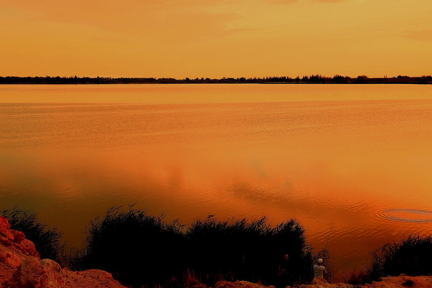 ����Ϧ�� (2).jpg