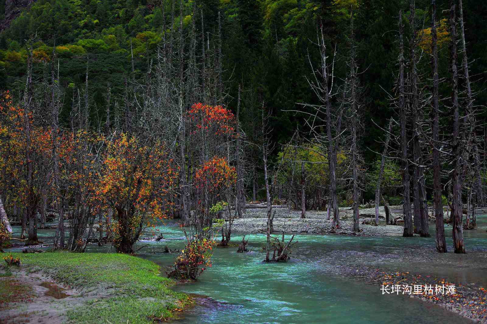 9. ����̲.jpg