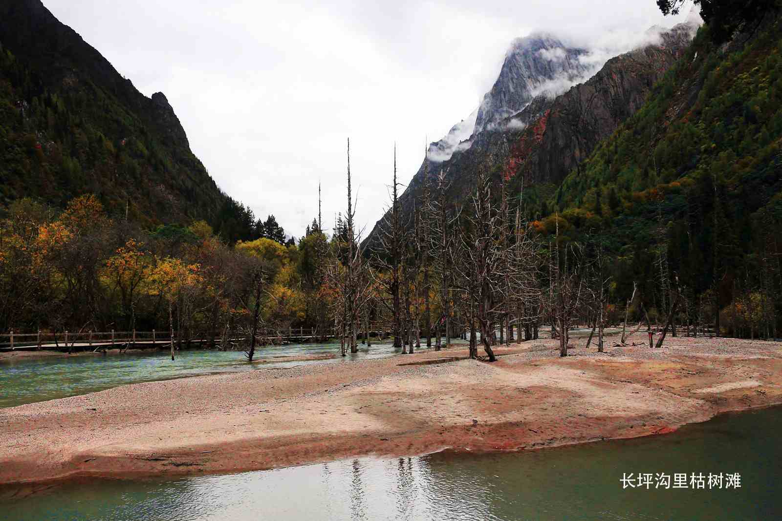 11. ����̲.jpg