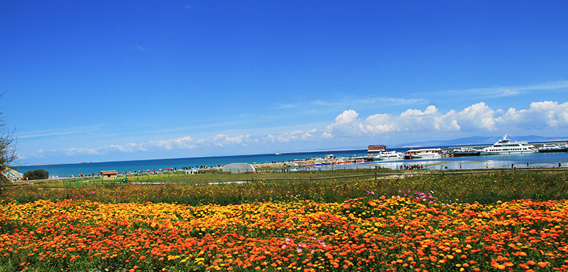 ������Ƭ