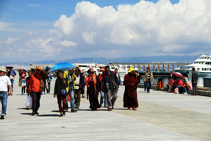 �ο�����