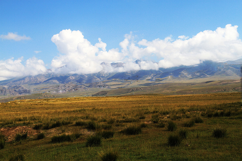 ����½��