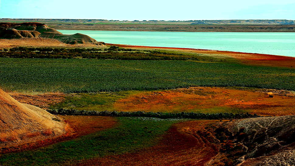 �ŵ���ò��һ�� (4).jpg