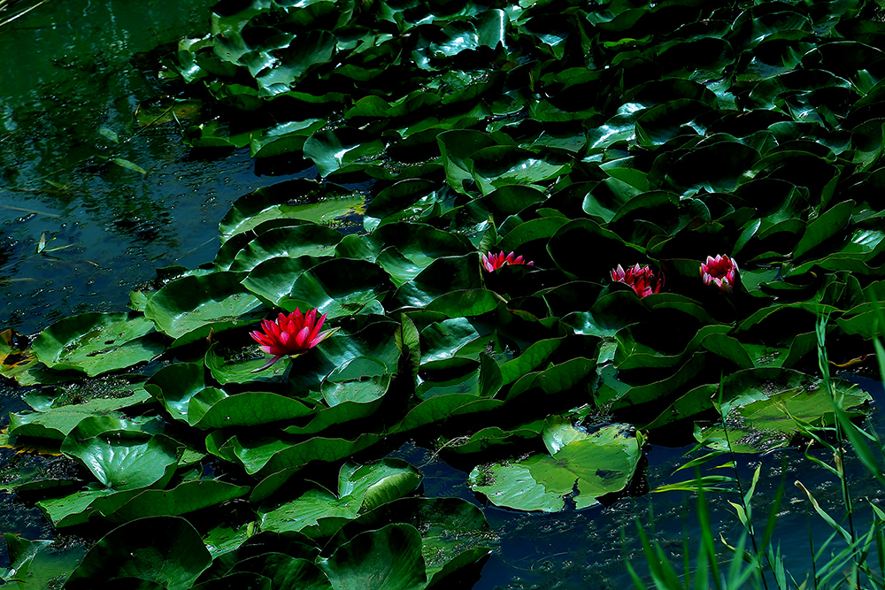 �߳Ǻɻ� (1).jpg