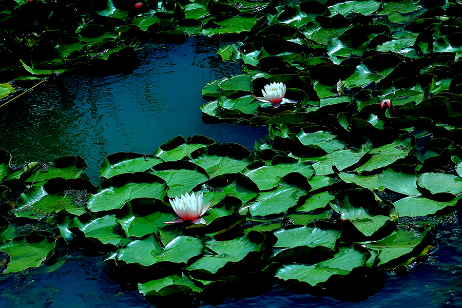 �߳Ǻɻ� (3).jpg