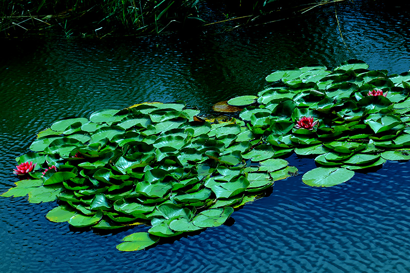 �߳Ǻɻ� (4).jpg