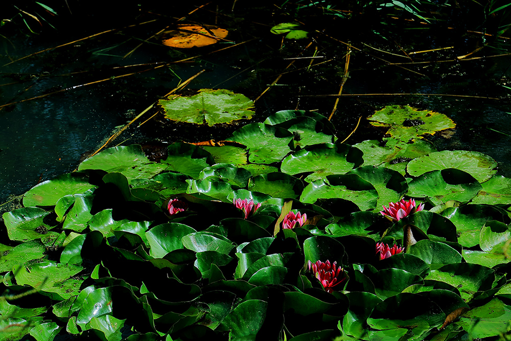 �߳Ǻɻ� (5).jpg