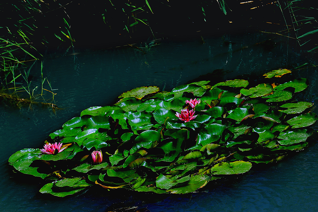 �߳Ǻɻ� (6).jpg