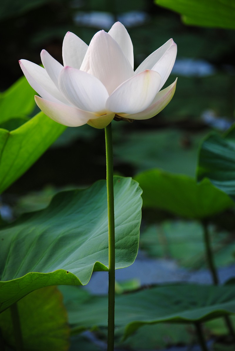 ��Ƭ 060_����.jpg