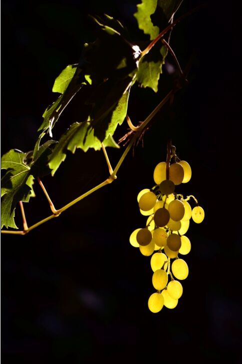 ���Ǻ�ʱ��