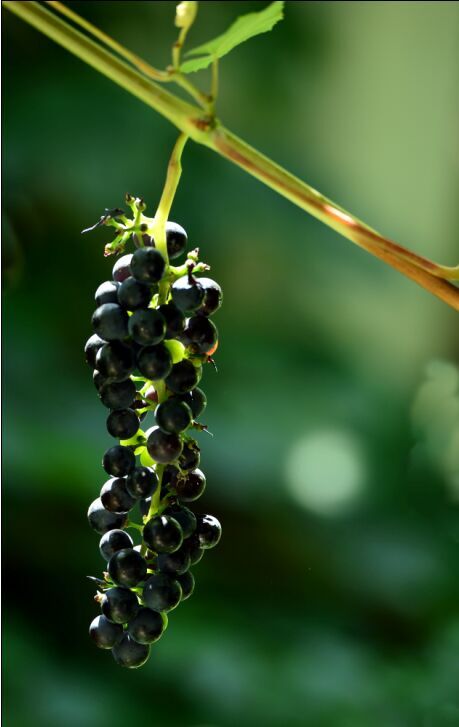 ���Ǻ�ʱ��