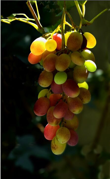 ���Ǻ�ʱ��