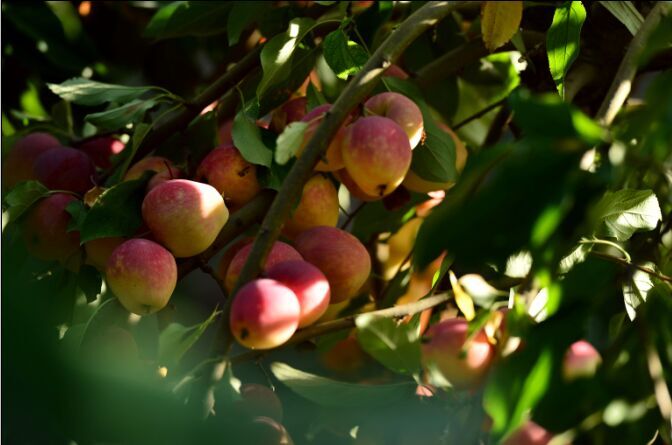 ���Ǻ�ʱ��