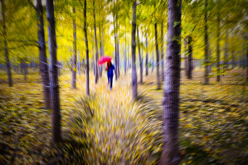 DSC_7226-cc--The Passing of Autumn-800.jpg