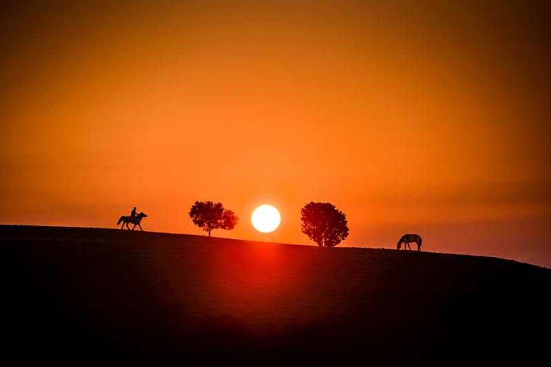 Sunrise Bashang-800.jpg