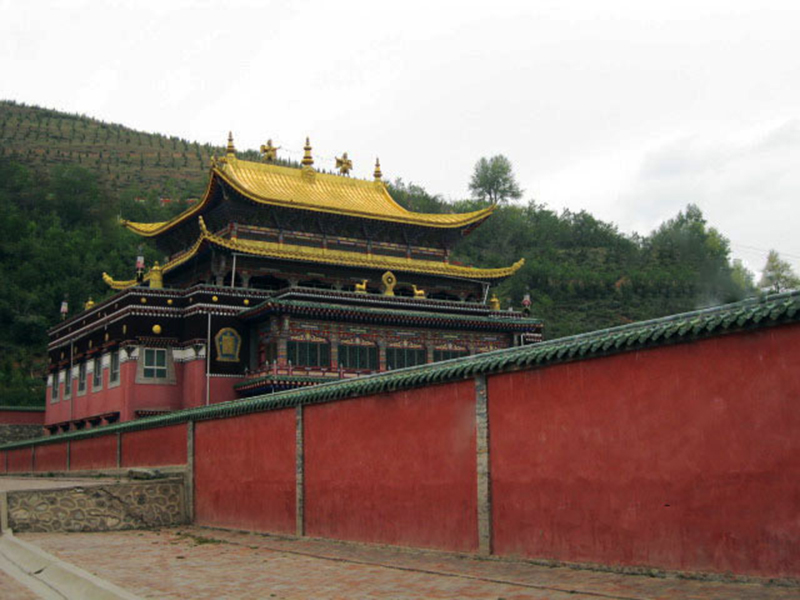 ��̲��õĴ����ݶ�