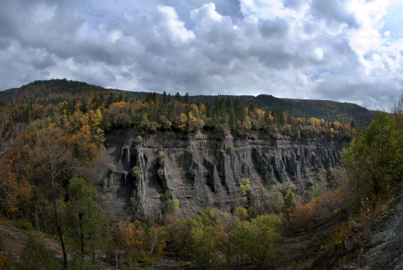 DSC_0403 Ѽ�̽���Ͽ�� ����.jpg