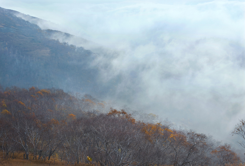 �ַ� �� (1) ����.jpg