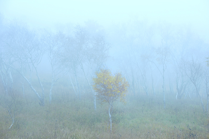 �ַ� �� (2) ����.jpg